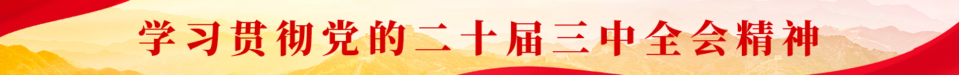 三中全会精神