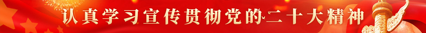 二十大精神